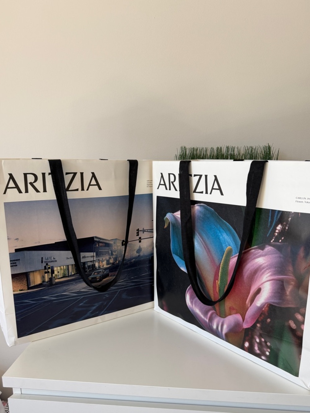 Aritzia White Shopping Tote with Black Handles and Floral Print